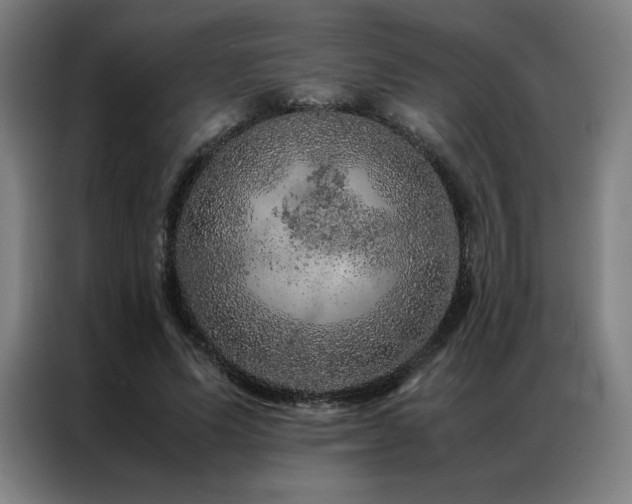 X0000087370591200704201229