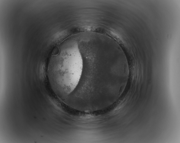 X0000087370594200704201229