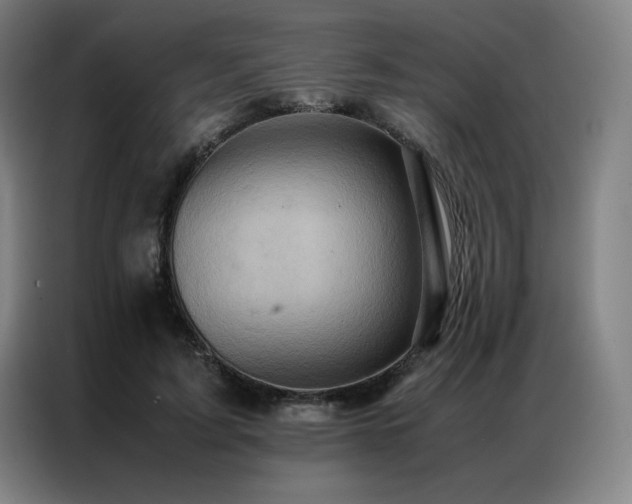X0000087370595200704201229
