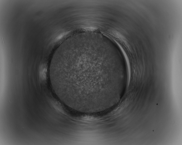 X0000087370596200704201229