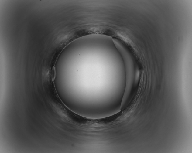 X0000087370597200704201229