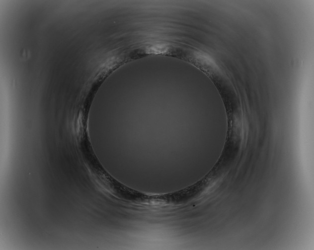 X0000087370598200704201229