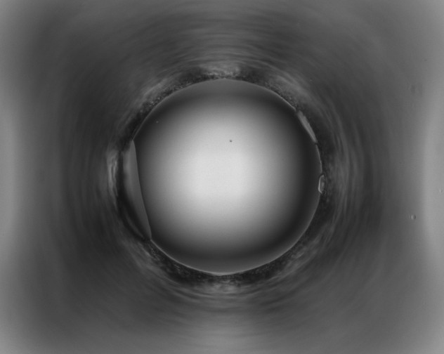 X0000087370600200704201229