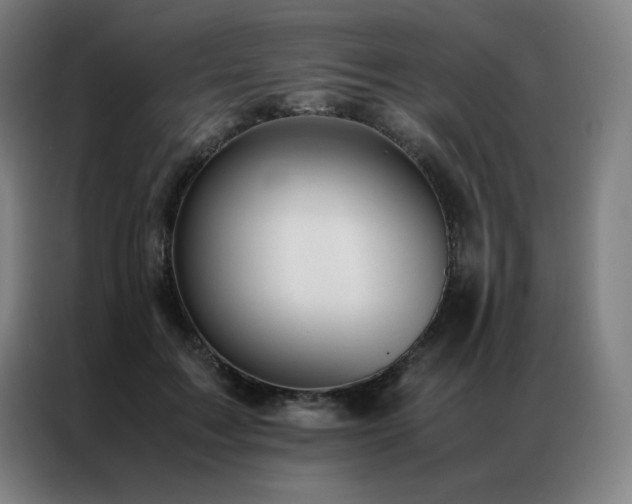 X0000087370603200704201229
