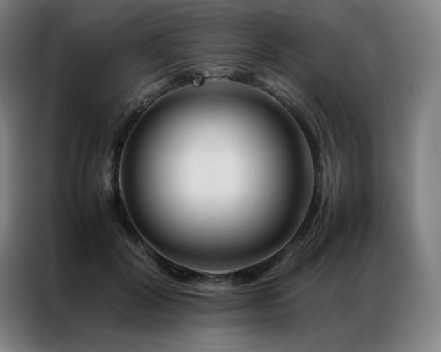 X0000087370604200704201229