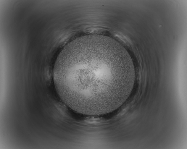 X0000087370607200704201229