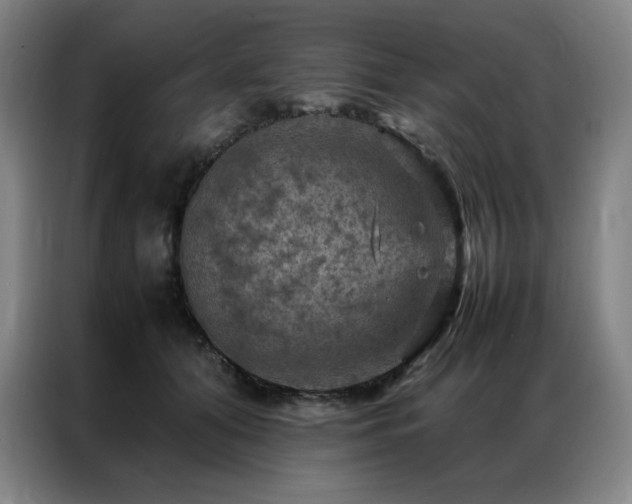 X0000087370608200704201229