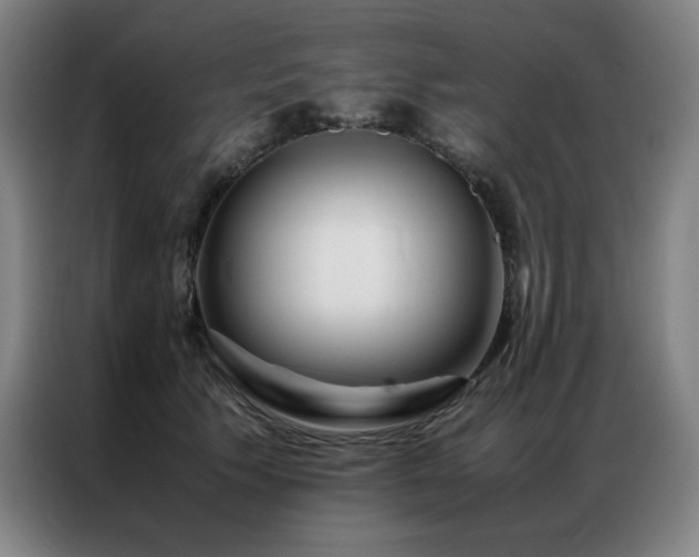 X0000087370609200704201229