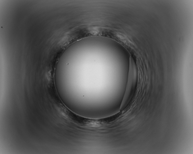 X0000087370611200704201229
