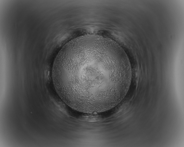X0000087370615200704201229