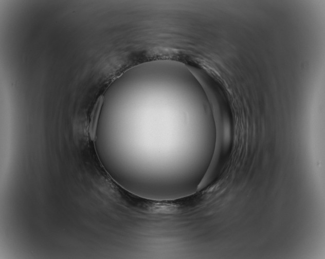 X0000087370617200704201229