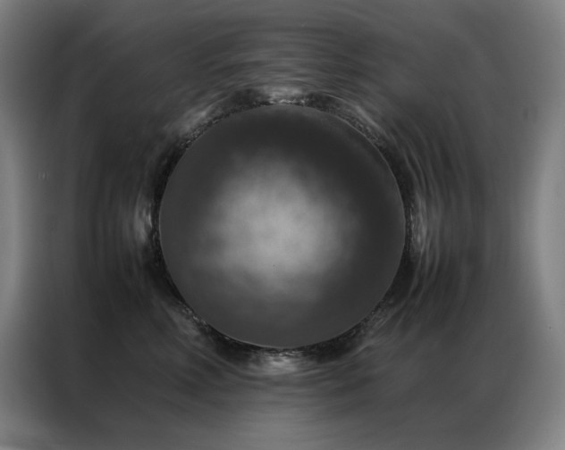 X0000087370618200704201229