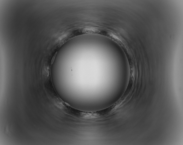 X0000087370621200704201229