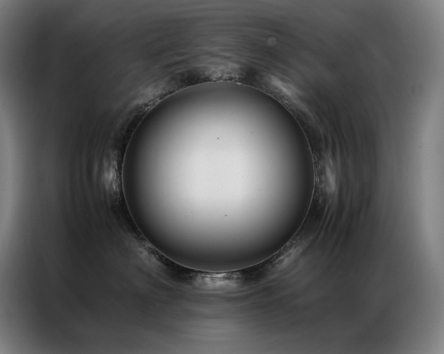 X0000087370622200704201229