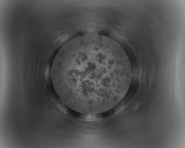 X0000087370623200704201229