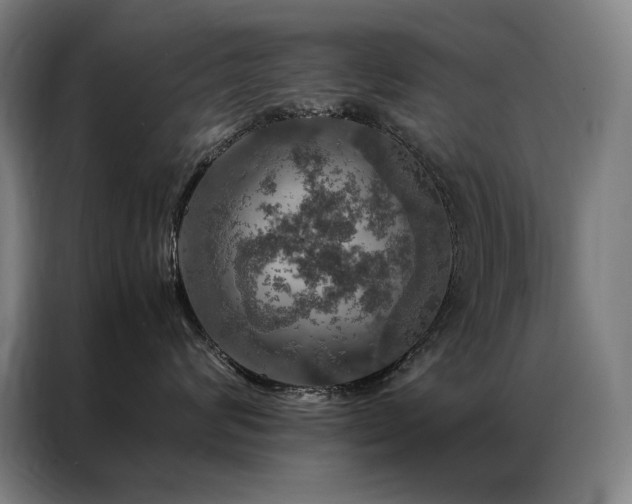 X0000087370624200704201229
