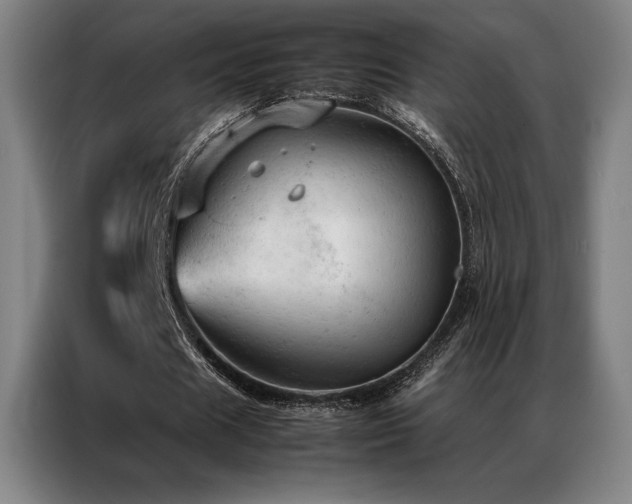 X0000087370625200704201228
