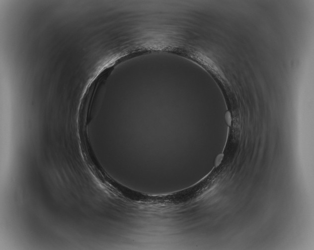 X0000087370626200704201228