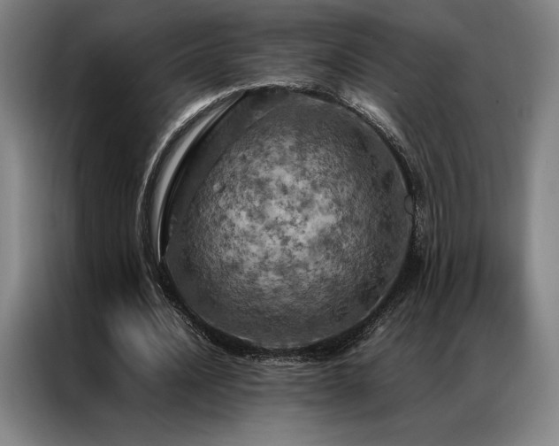 X0000087370628200704201228