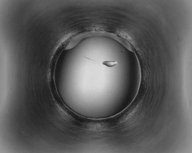 X0000087370629200704201228