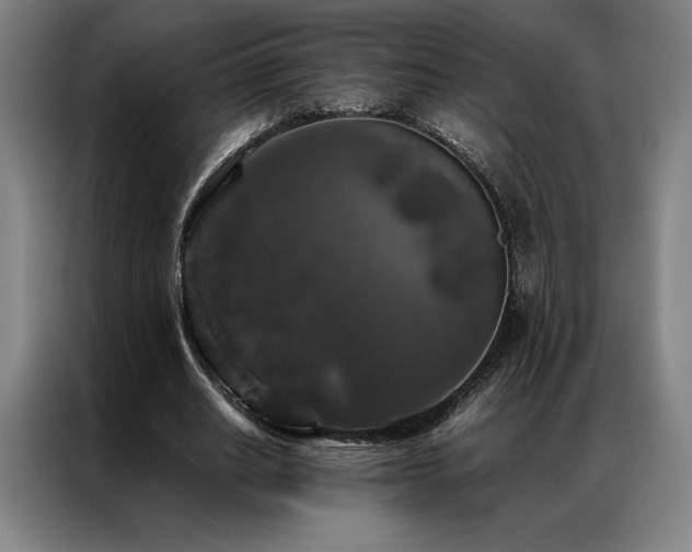 X0000087370630200704201228