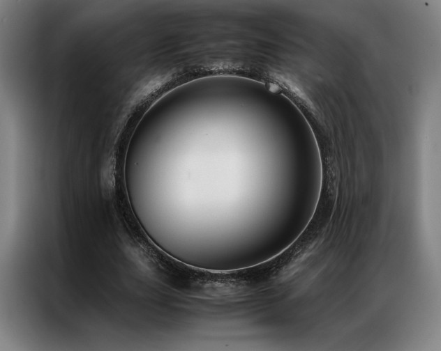 X0000087370631200704201228