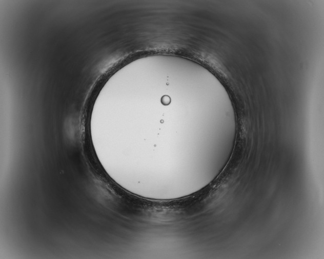 X0000087370632200704201228