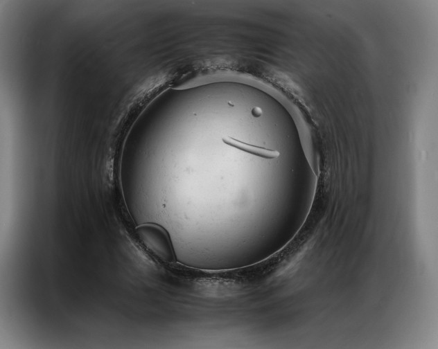 X0000087370633200704201228