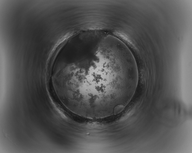 X0000087370634200704201228