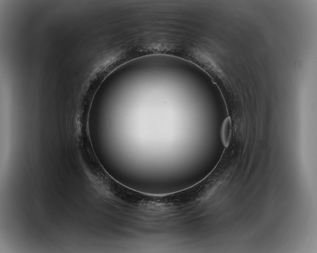 X0000087370635200704201228