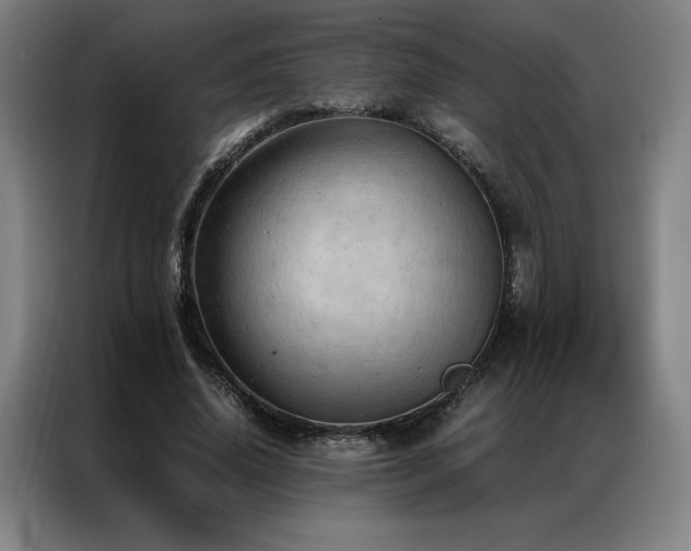 X0000087370636200704201228