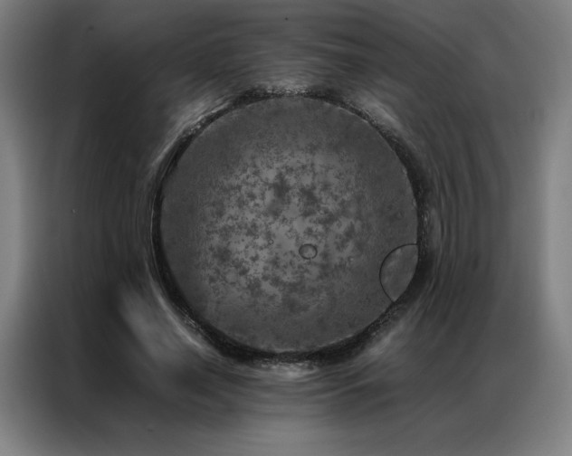X0000087370638200704201228