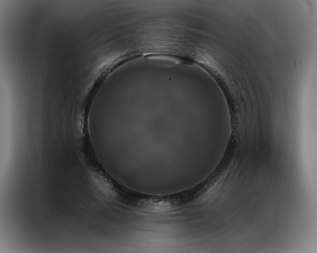 X0000087370640200704201228