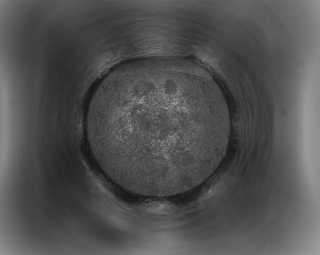 X0000087370642200704201228