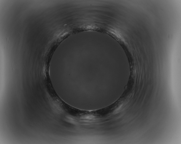 X0000087370643200704201228