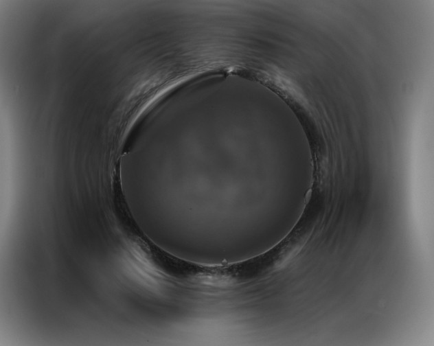 X0000087370644200704201228