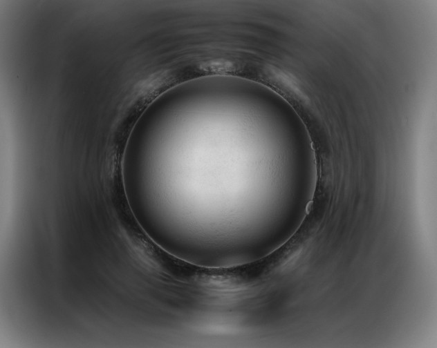 X0000087370645200704201228