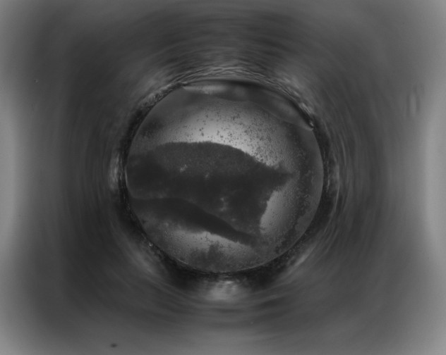 X0000087370647200704201228