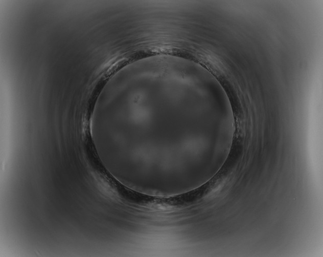 X0000087370648200704201228