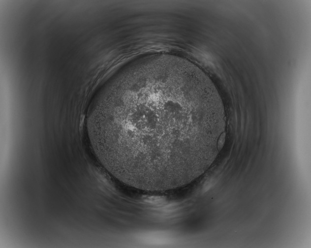 X0000087370649200704201228