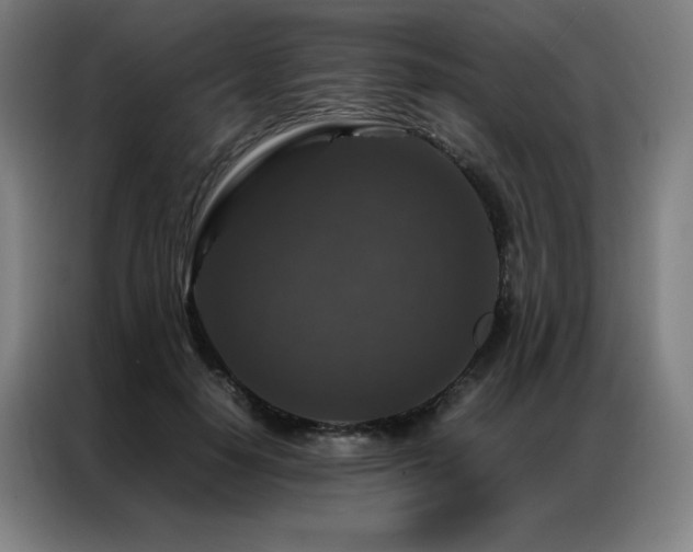 X0000087370650200704201228