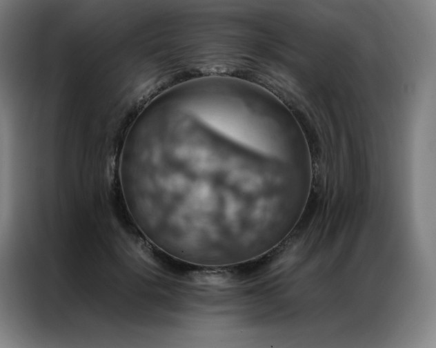 X0000087370652200704201228