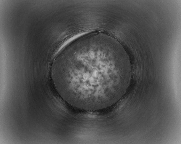X0000087370656200704201229