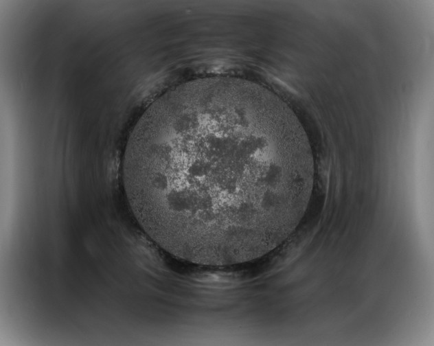 X0000087370657200704201229