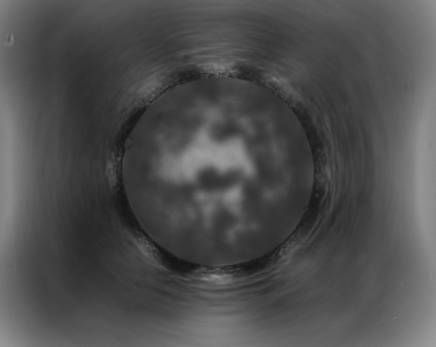 X0000087370658200704201229