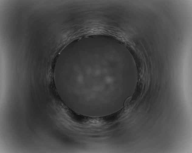 X0000087370659200704201229