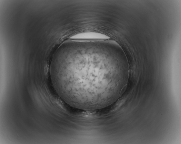X0000087370660200704201229