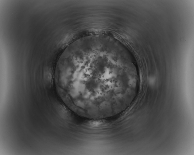 X0000087370662200704201229