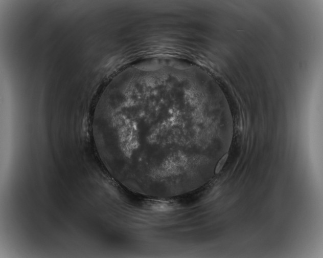 X0000087370663200704201229