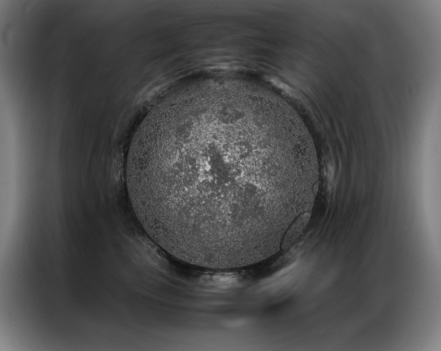 X0000087370665200704201229
